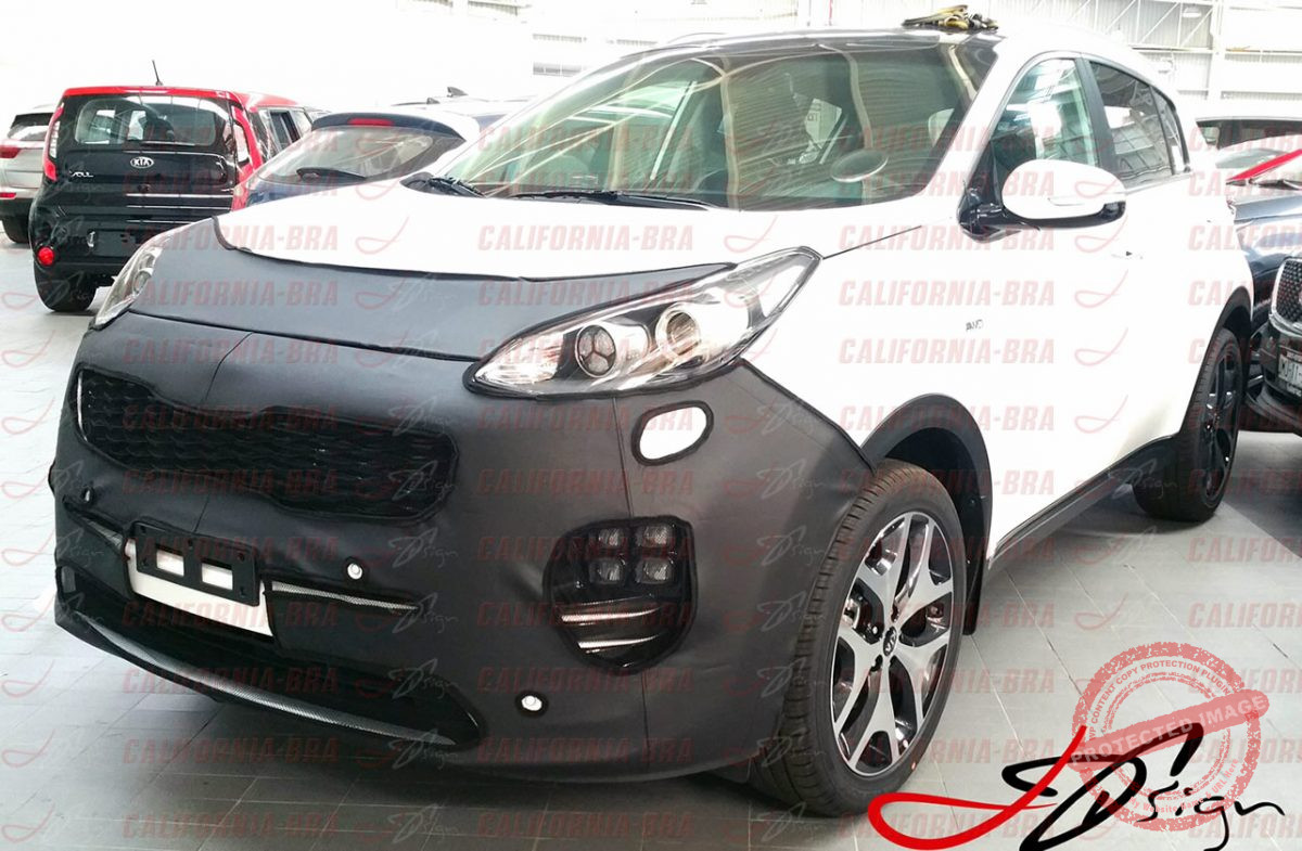 SPORTAGE 2017-18. (Básico) - Image 2