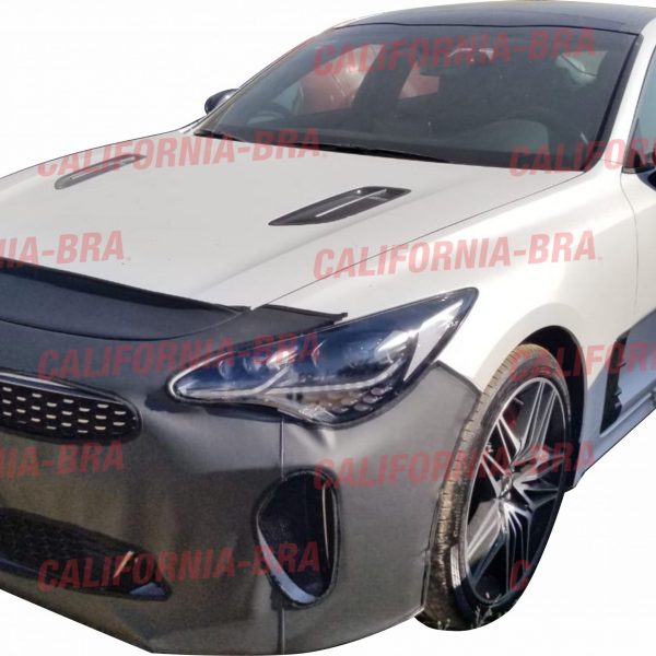 STINGER 2022