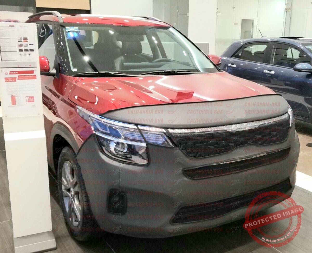 Seltos 2020-21. - Image 5