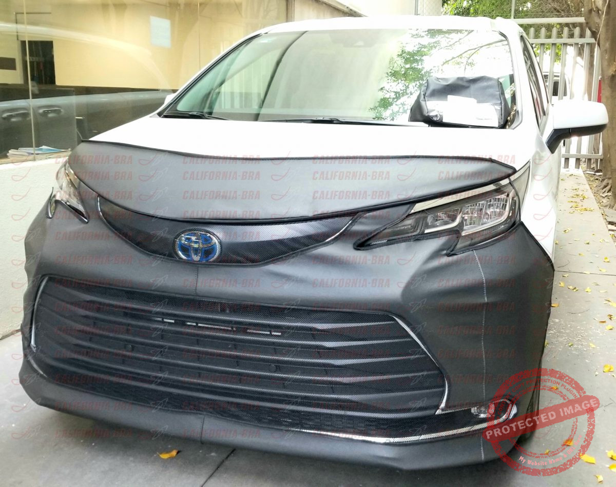 Sienna 2021-22 - Image 3