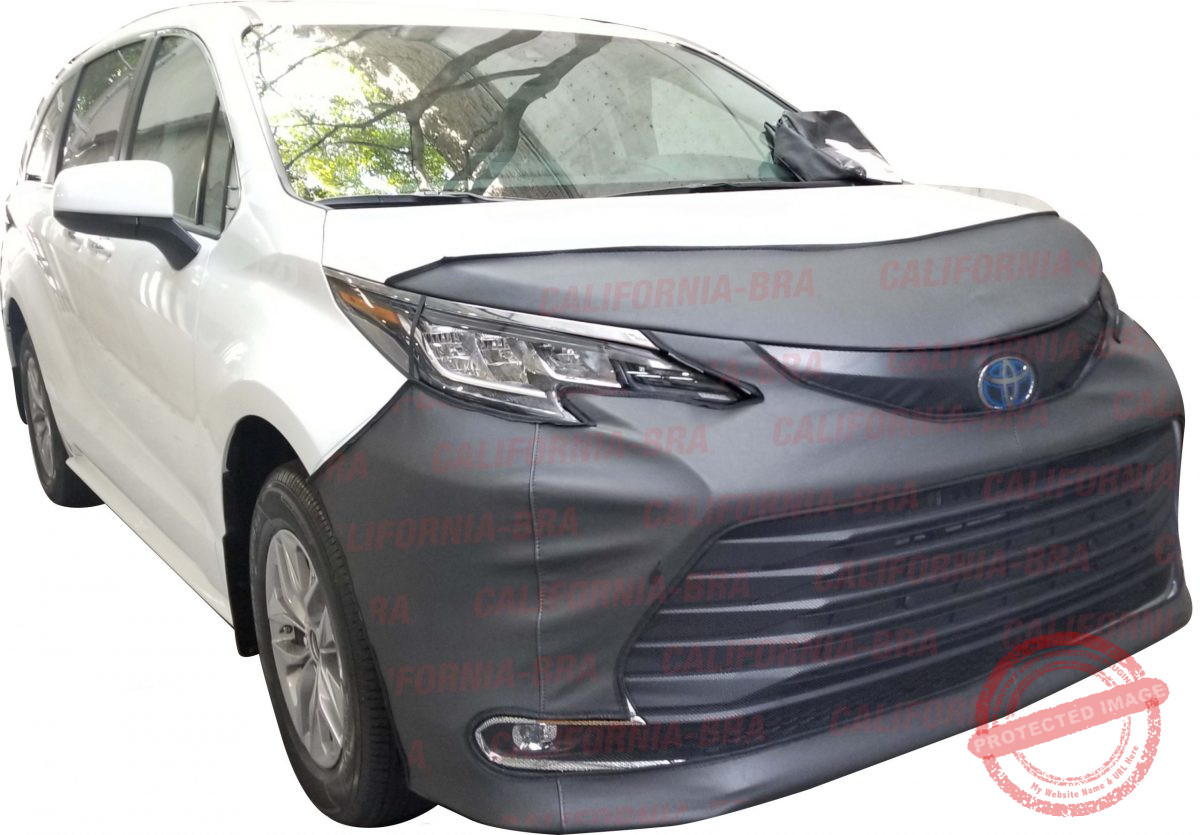 Untitled-1 Sienna 2021-22 - Image 1