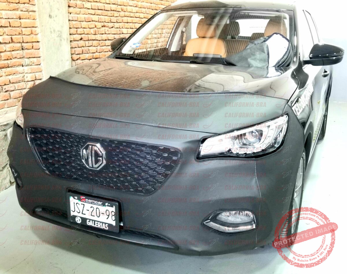 MG HS 2021-2022 - Image 2