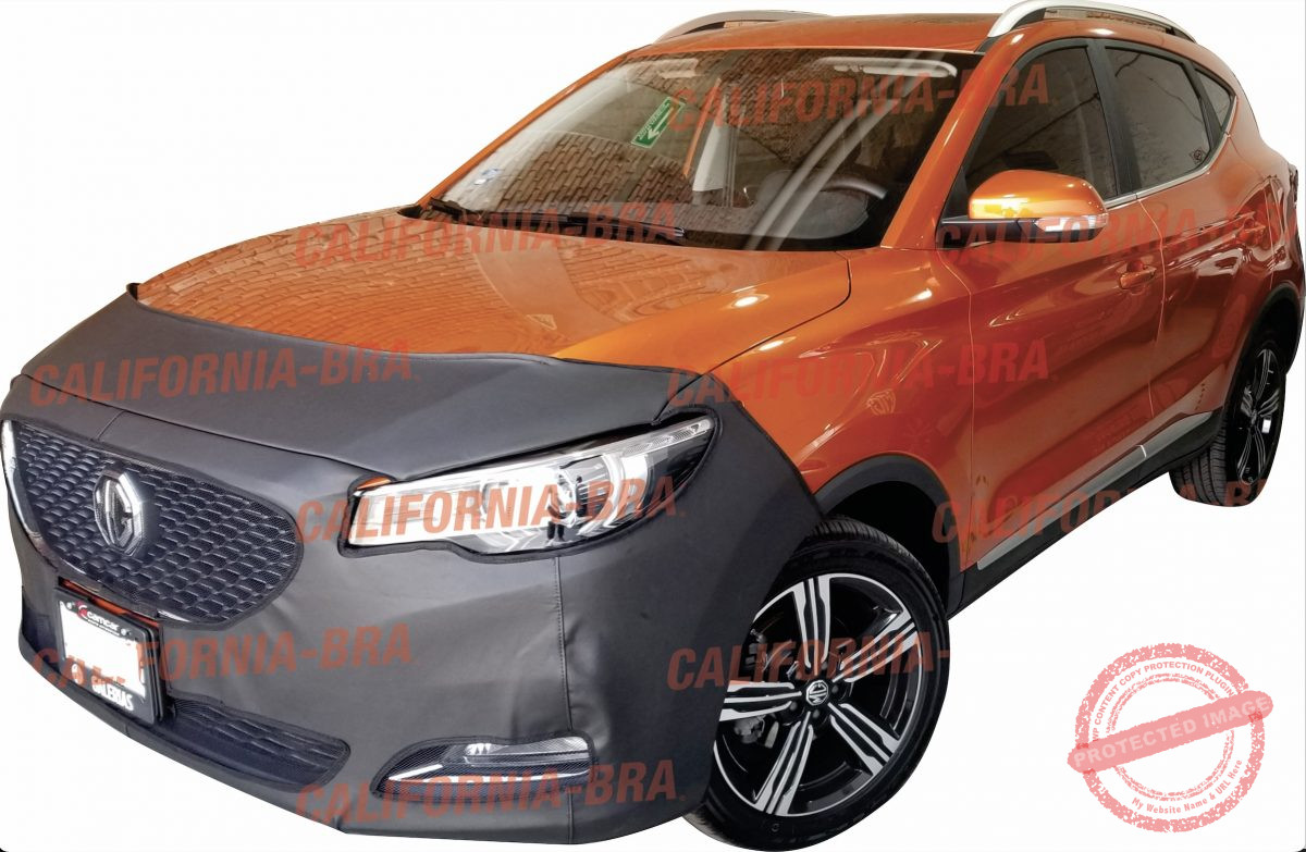 MG ZS 2021-22 - Image 1