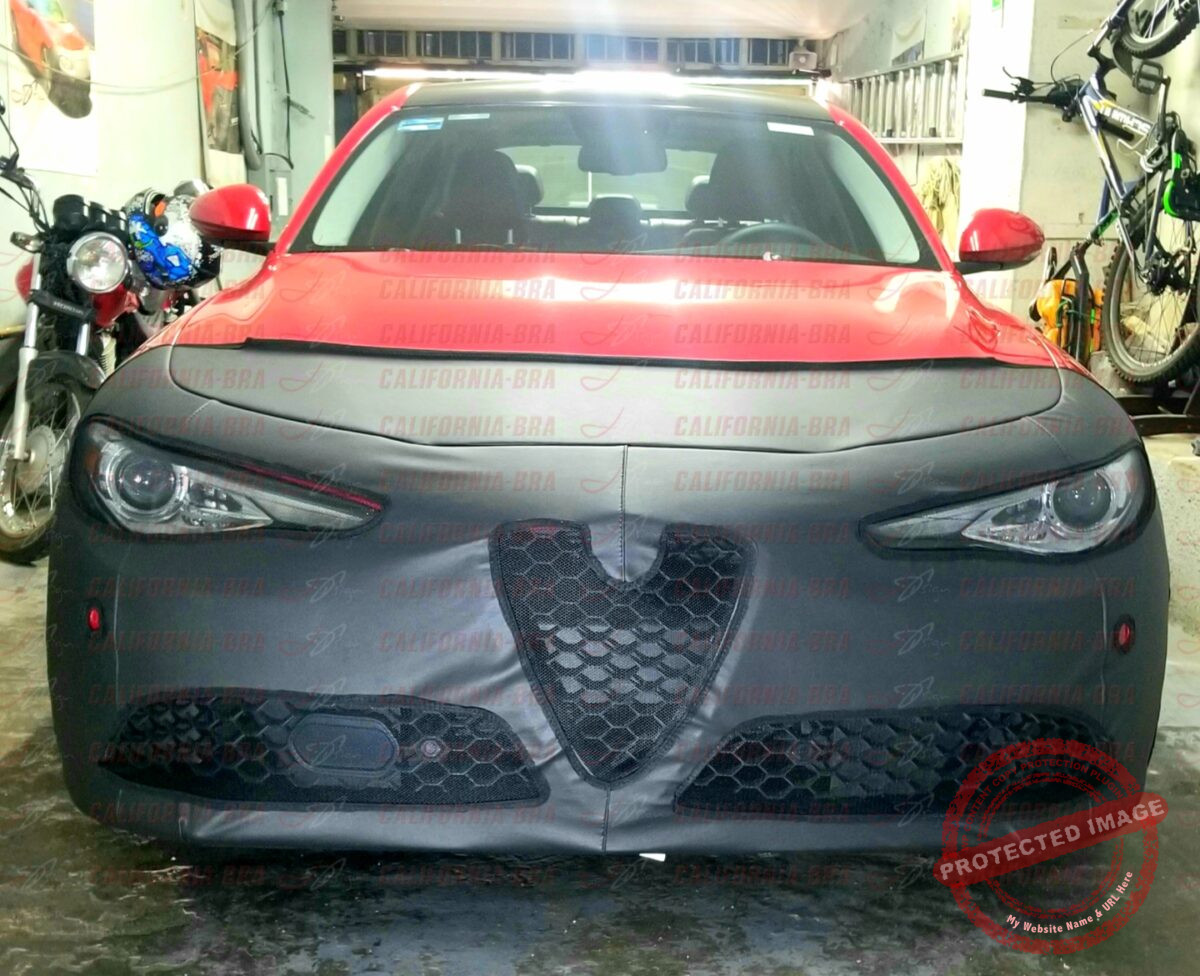 Guilia 2017-21 - Image 2