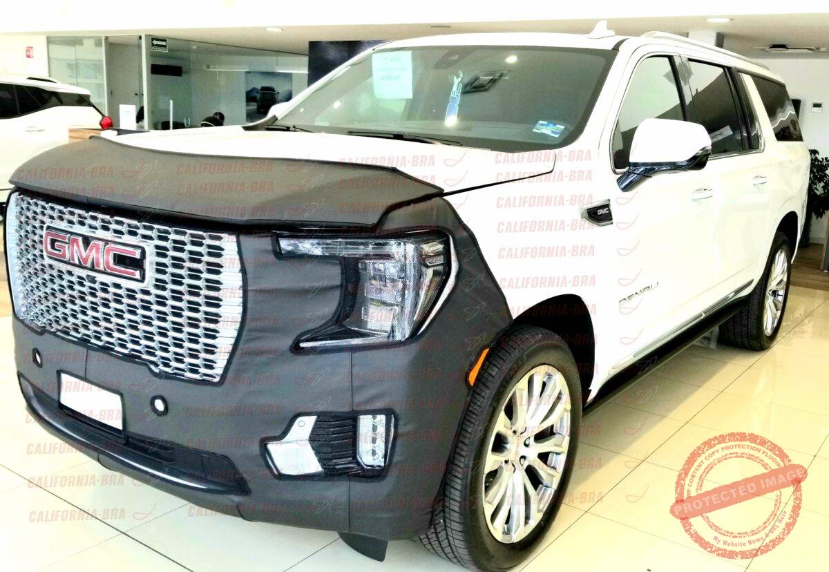 Yukon 2021-22 - Image 4