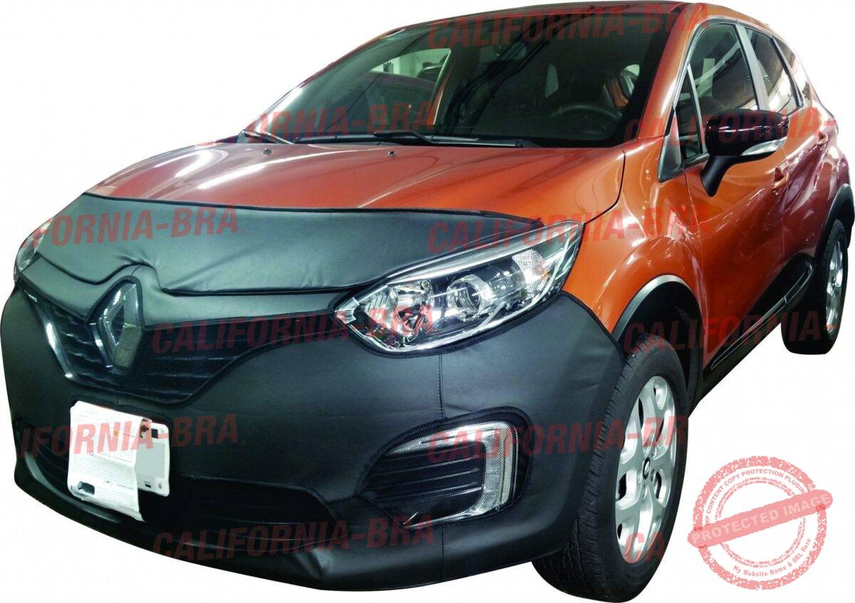 Captur 2018-21 - Image 1