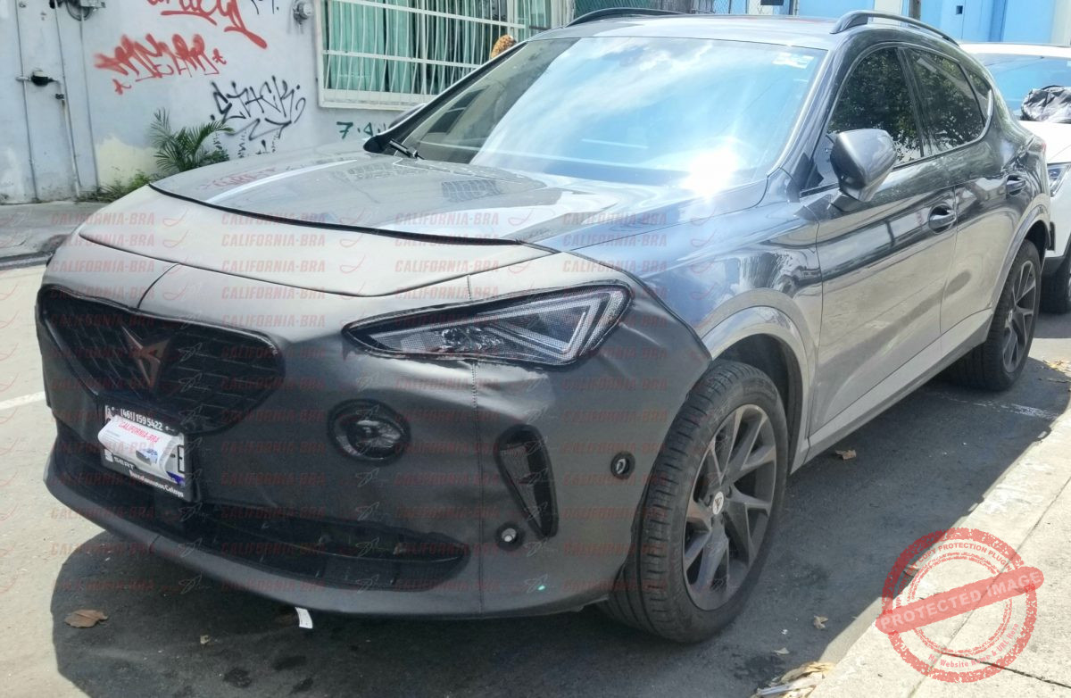 Formentor 2022 - Image 2