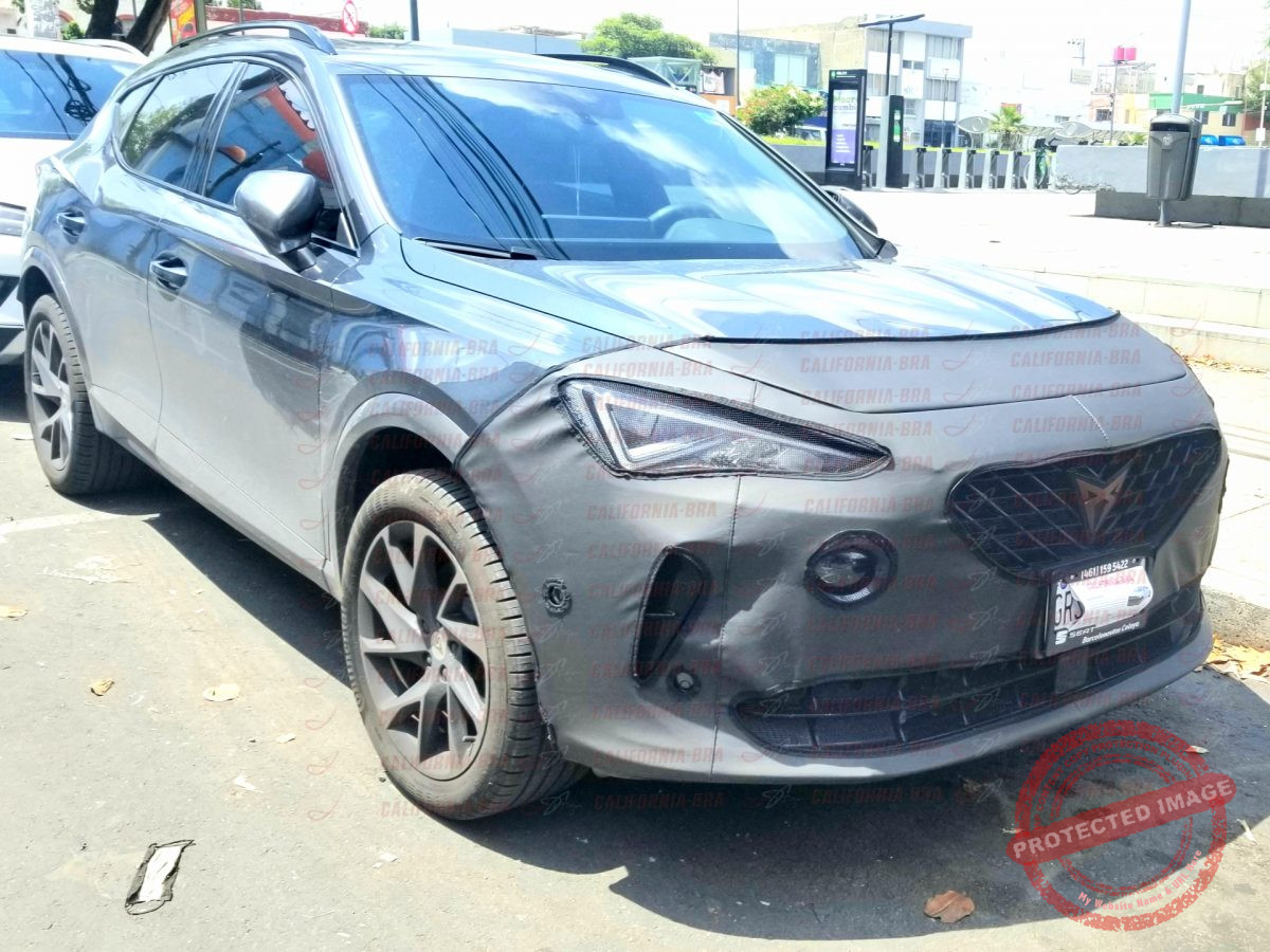 Formentor 2022 - Image 3