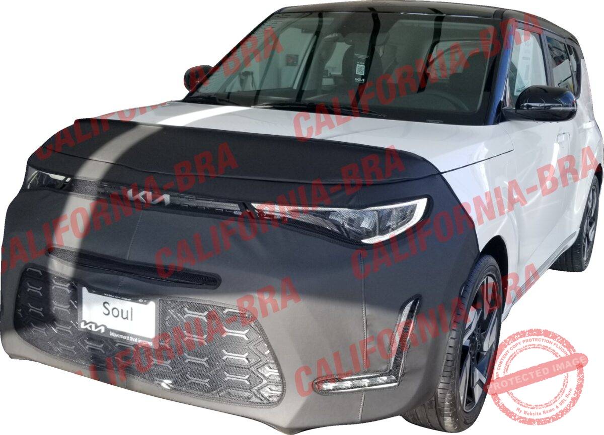 Soul 2023 original SOUL 2023 - Image 1