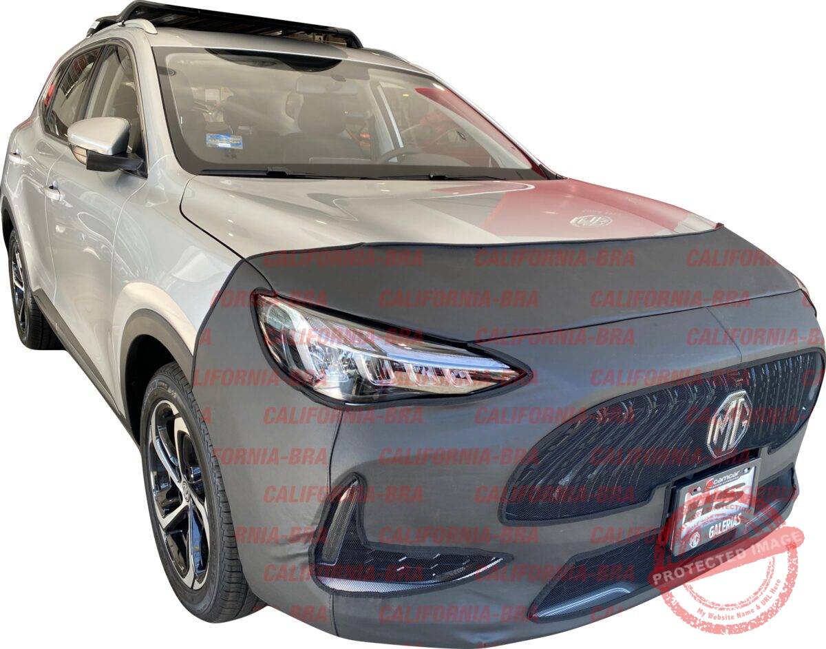 MG HS 2024-2025 - Image 1