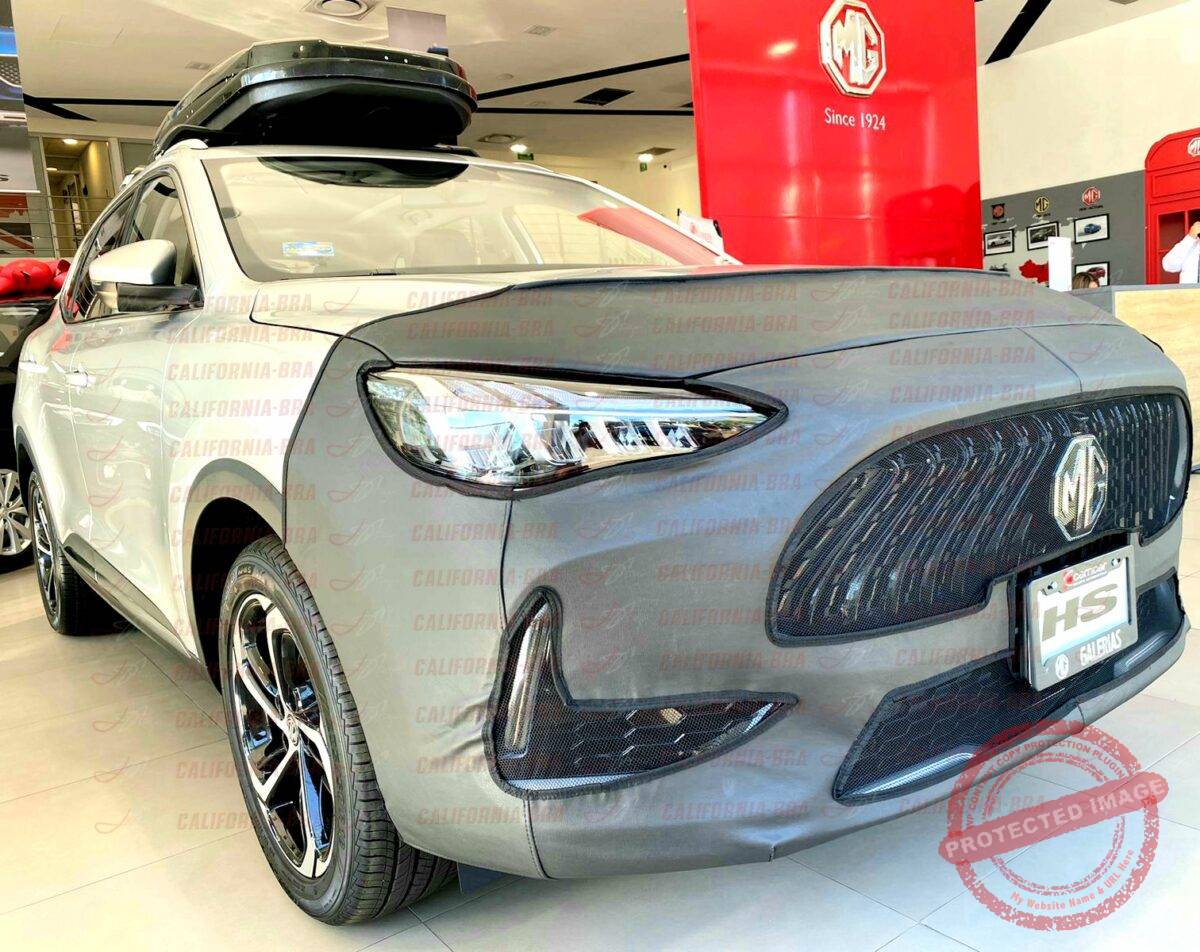 MG HS 2024-2025 - Image 2