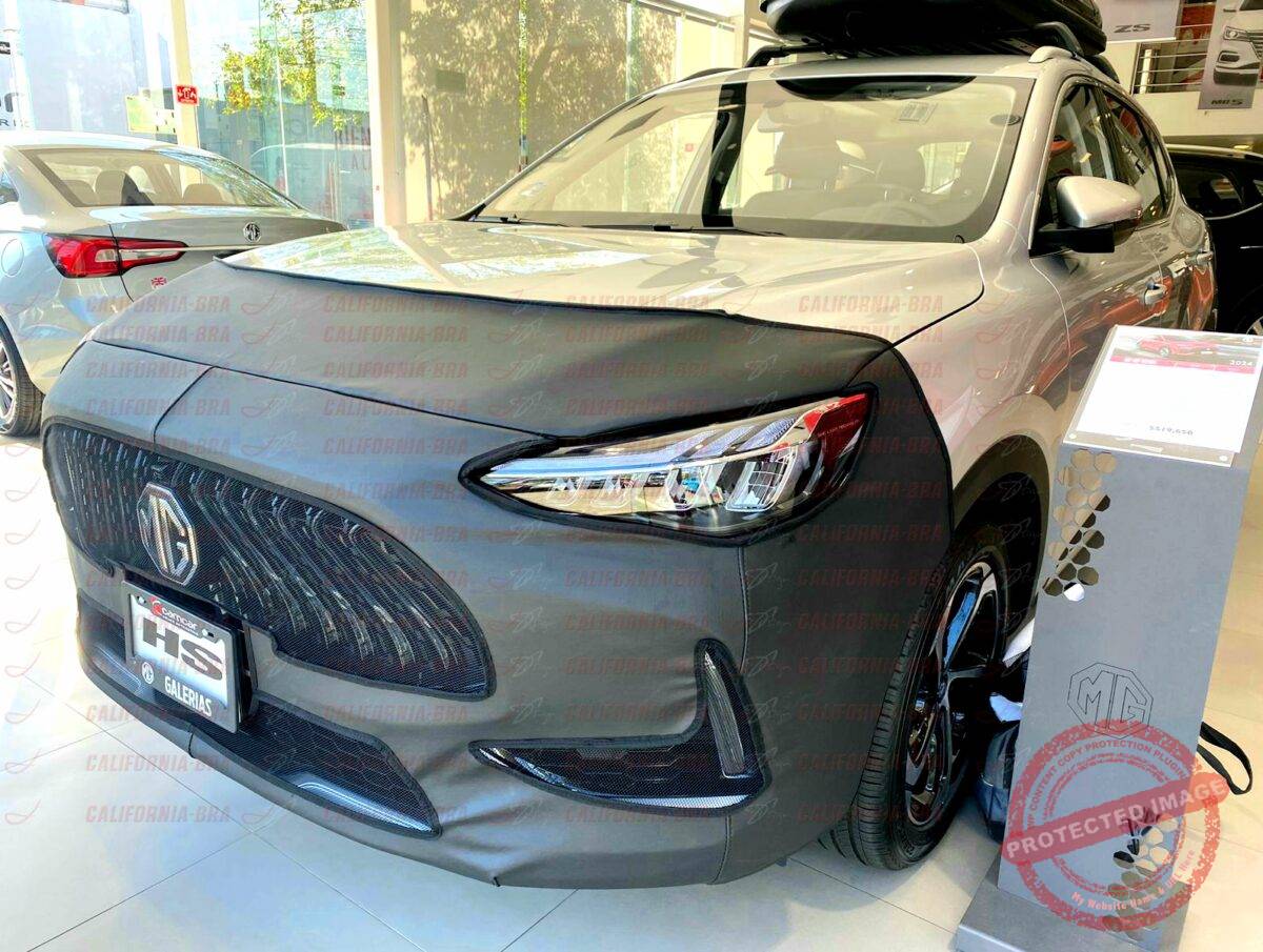 MG HS 2024-2025 - Image 4