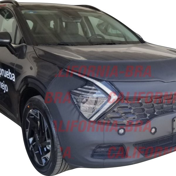 Sportage 2023-24