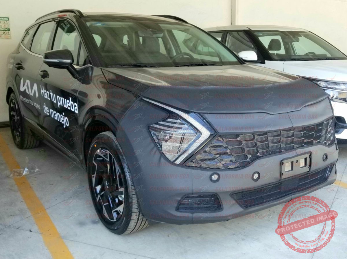 Sportage 2023-2025 (Con sensores) - Image 3