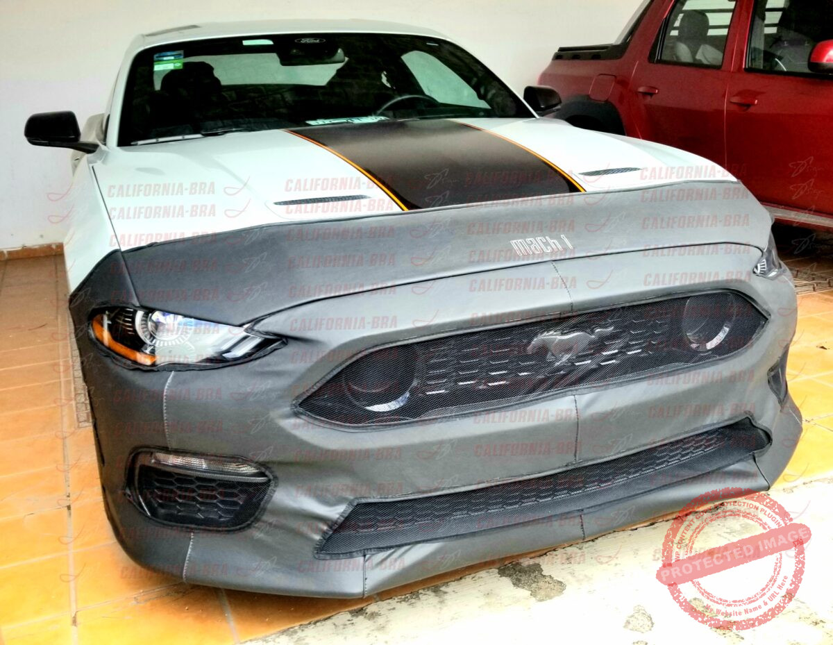 Mustang Mach 1 2021-23. - Image 3