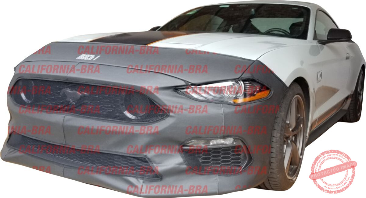 Mustang Mach 1 2021-23. - Image 1