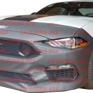 Mustang Mach 1 2021-23.