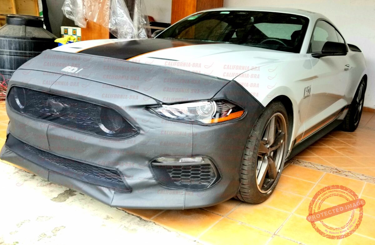 Mustang Mach 1 2021-23. - Image 2