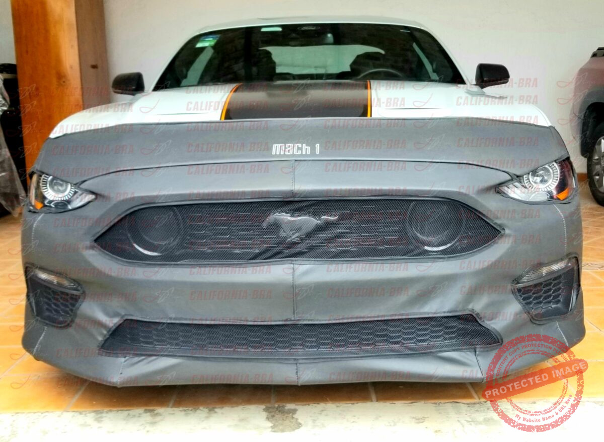 Mustang Mach 1 2021-23. - Image 4