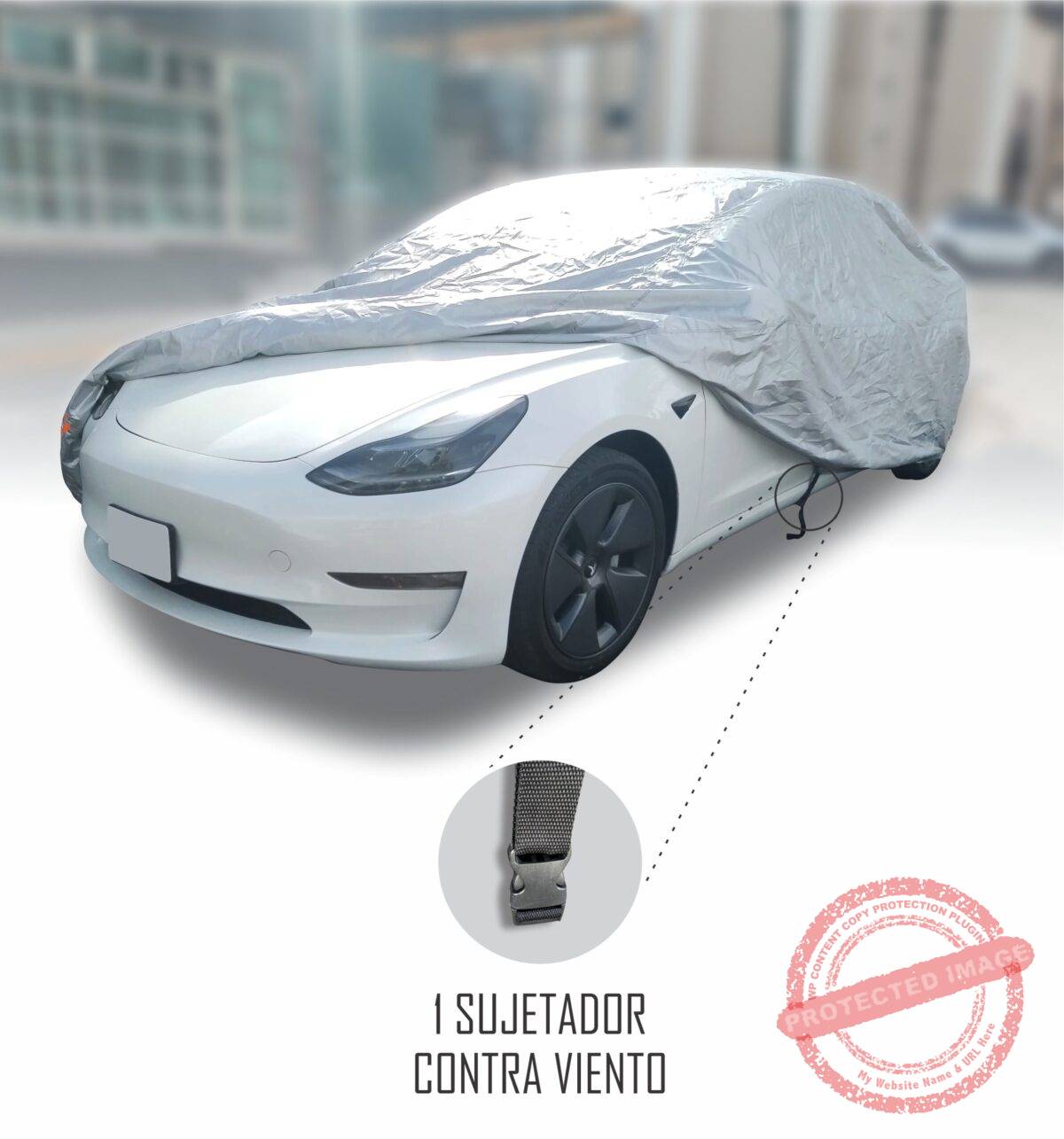 Sedán Chico - Image 5