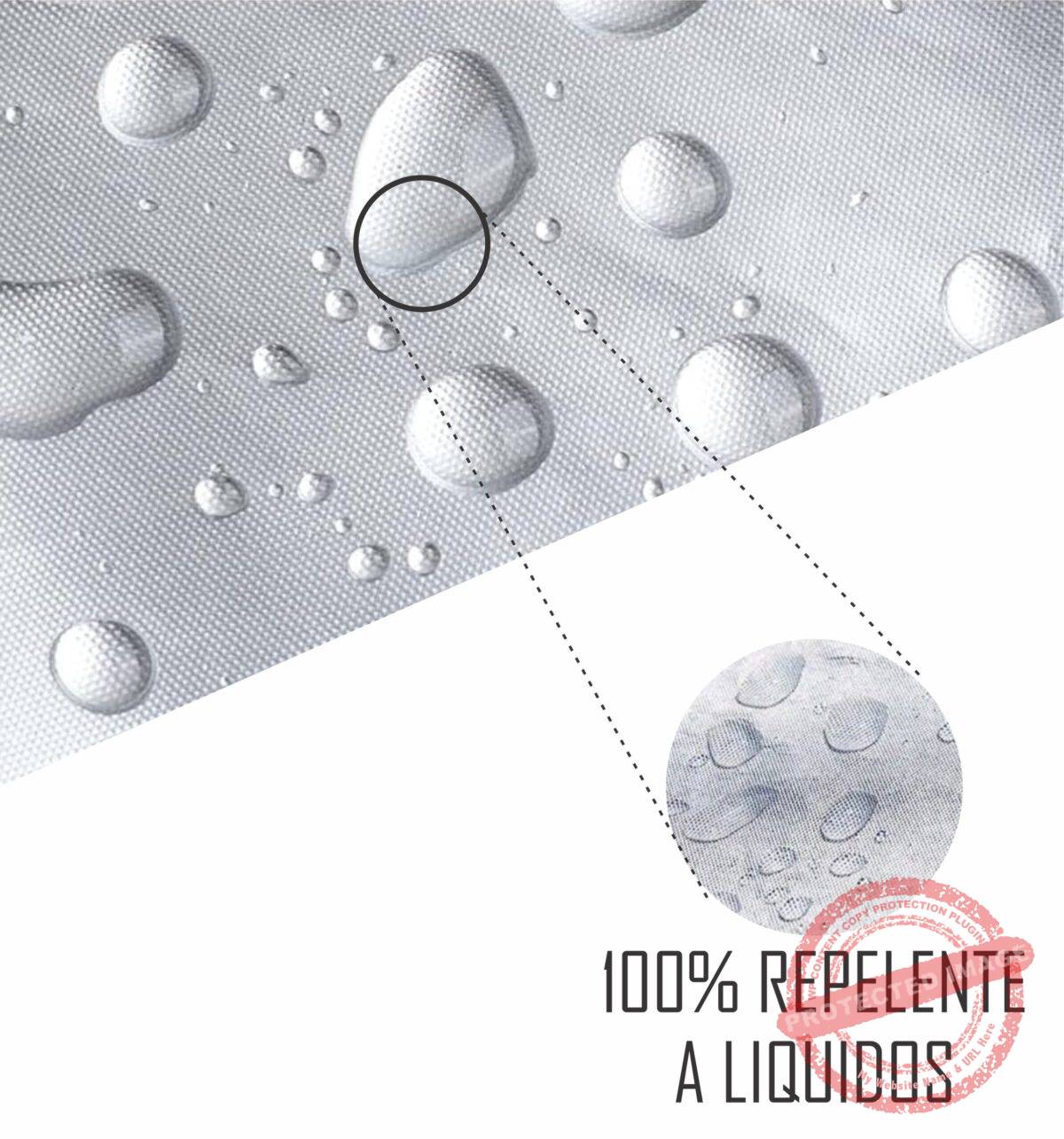 Top Crossovers y SUVs Chicos - Image 3