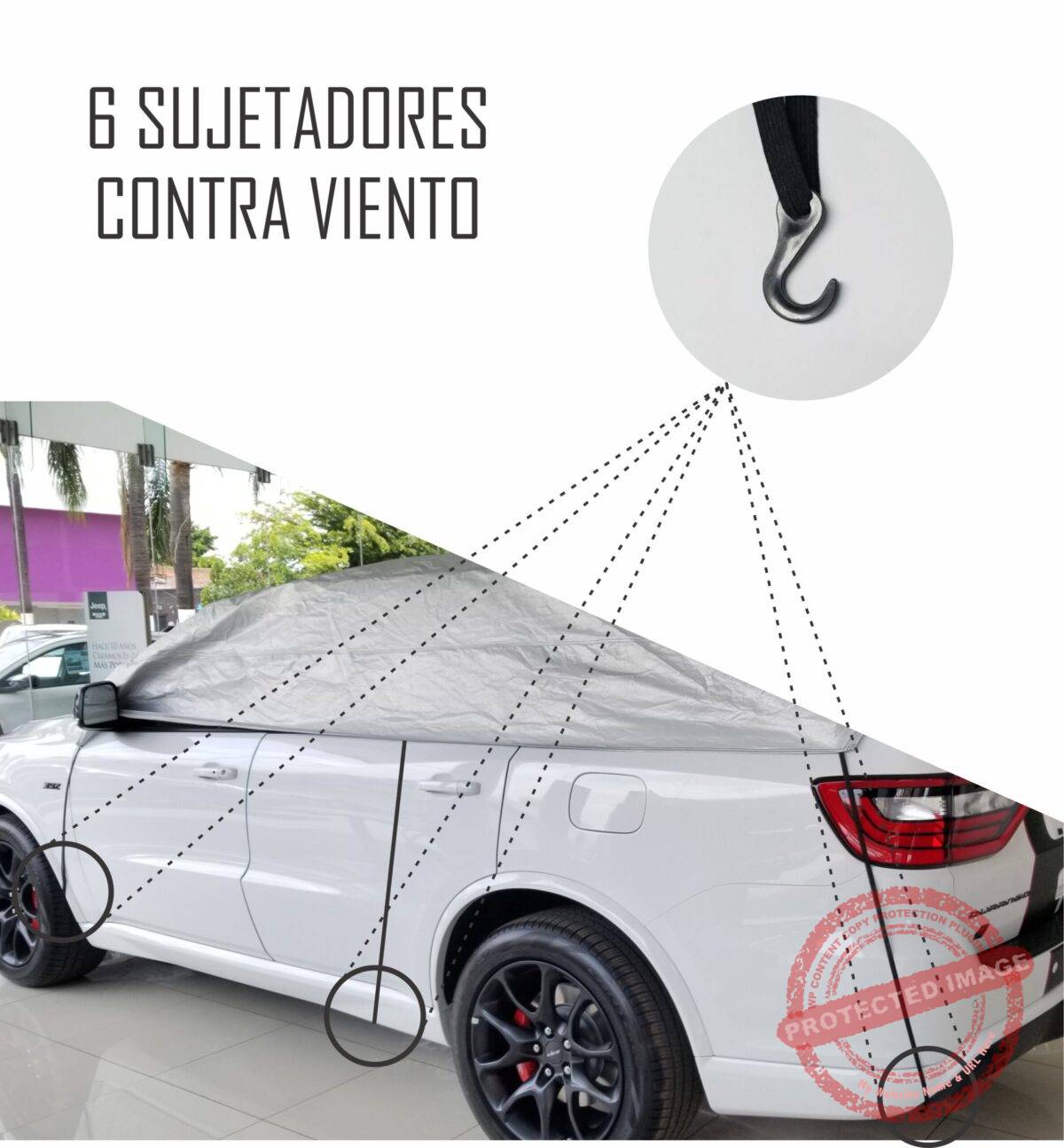 Top Crossovers y SUVs Chicos - Image 6