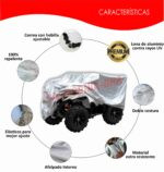 Cuatrimoto/ATV Chica - Image 3