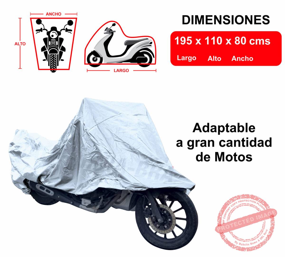 Moto Chica - Image 4