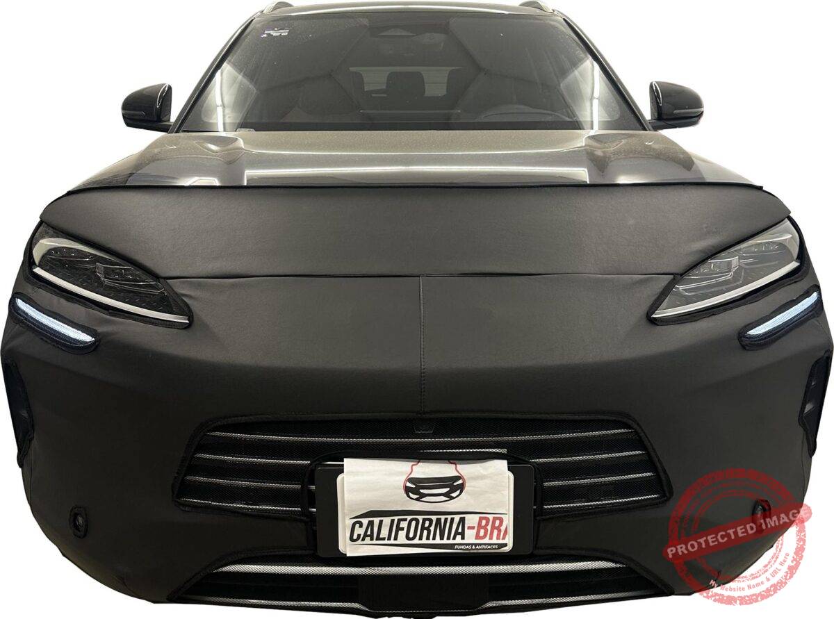 SONG PLUS 2024-2026 - Image 4