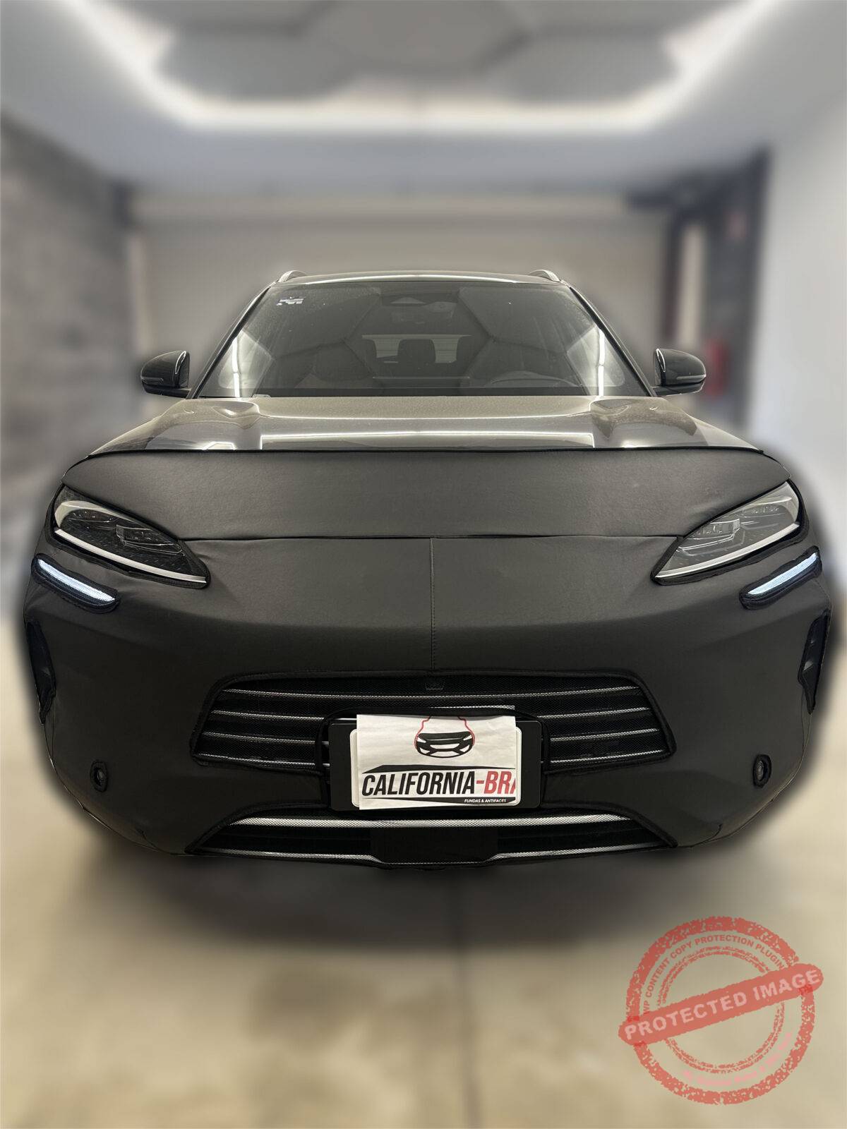 SONG PLUS 2024-2026 - Image 5