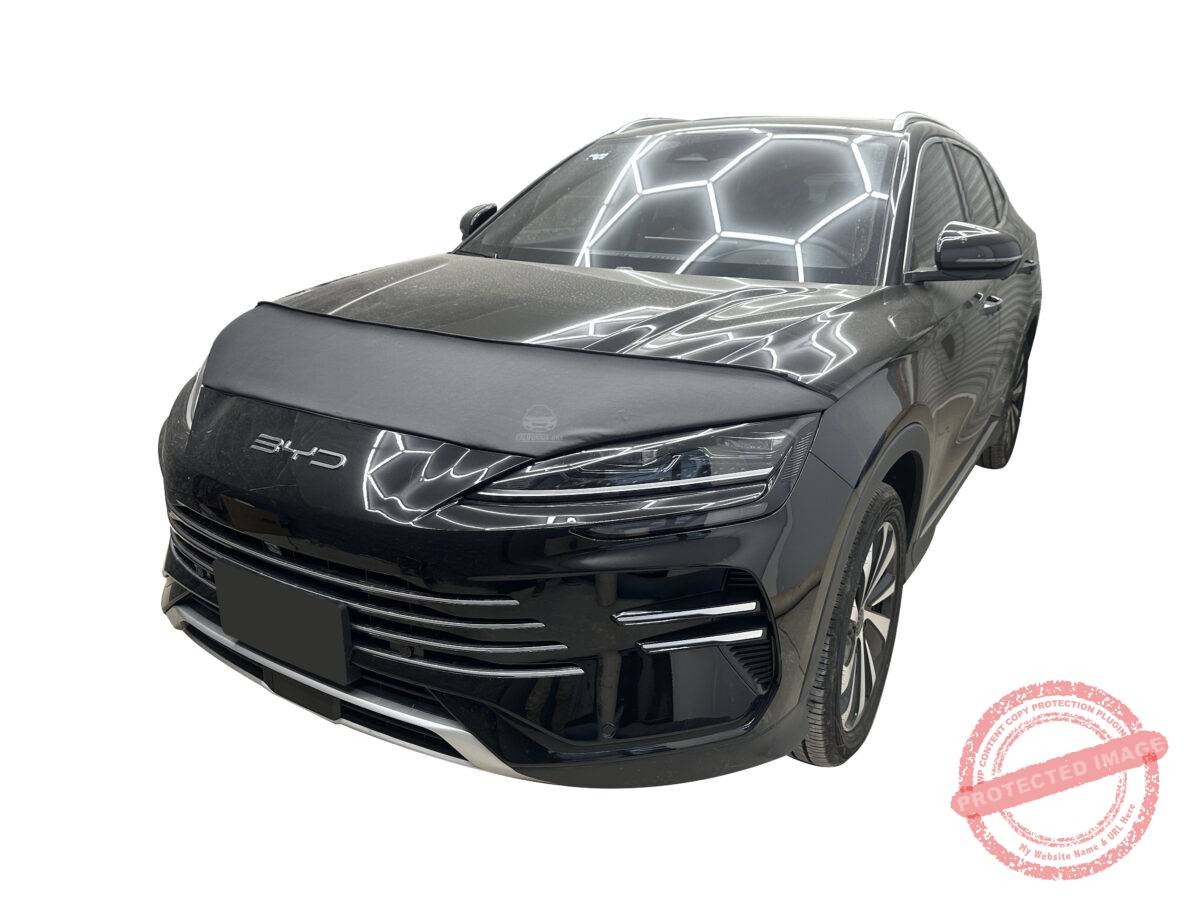 SONG PLUS 2024-2026 - Image 3