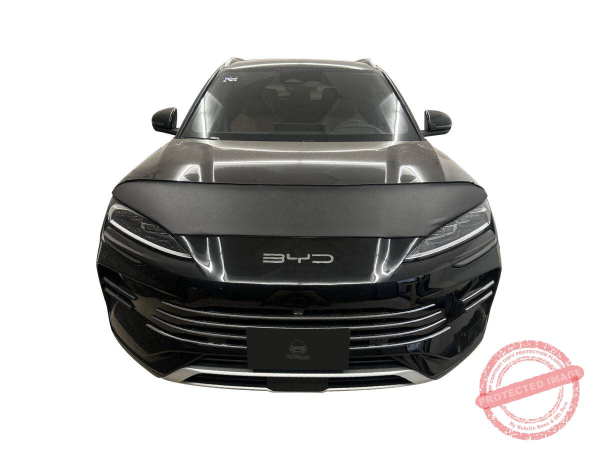 SONG PLUS 2024-2026 - Image 2