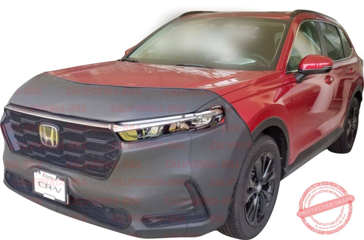 CR-V 2023-2024 - Image 1