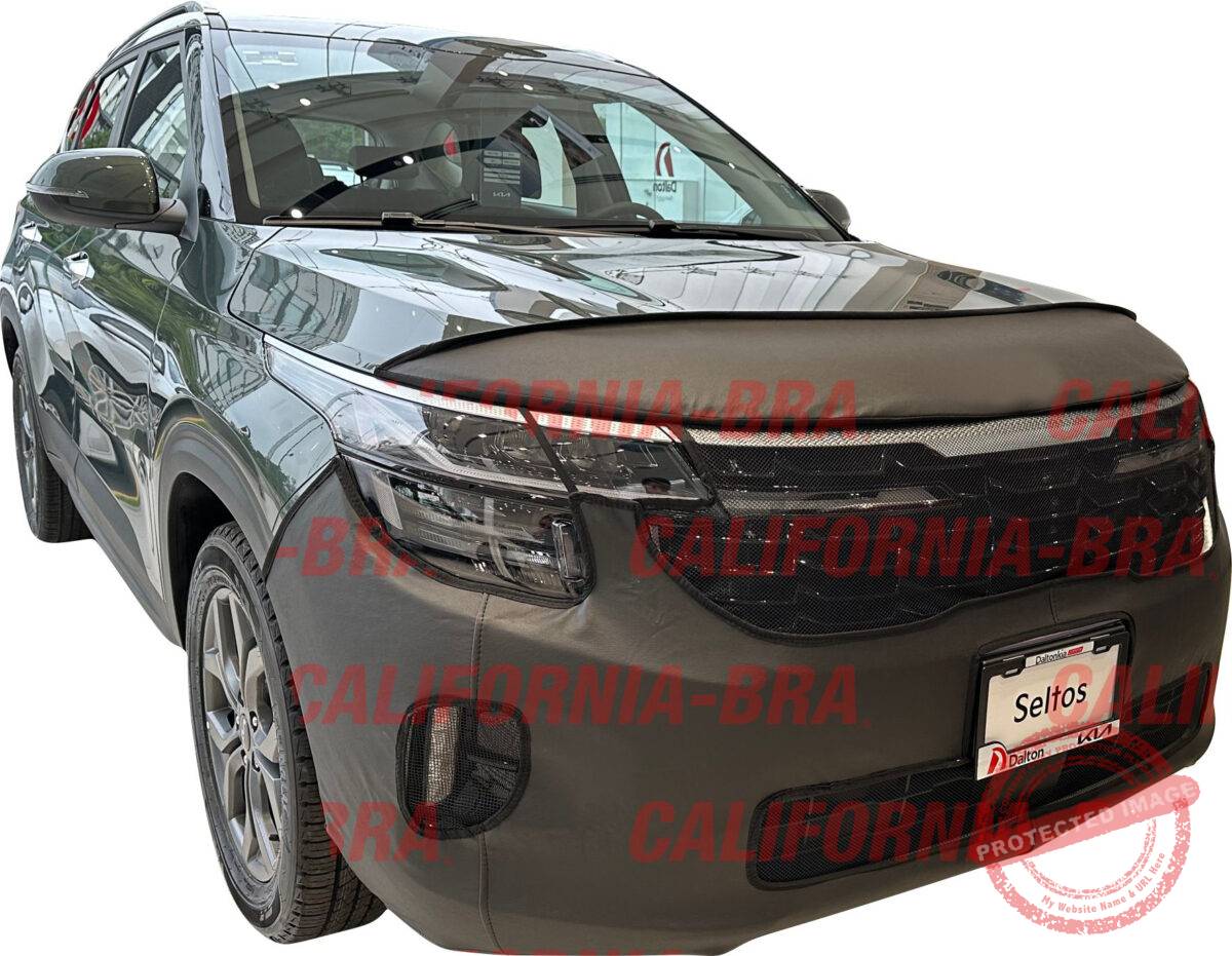 Seltos 2024-26 - Image 1