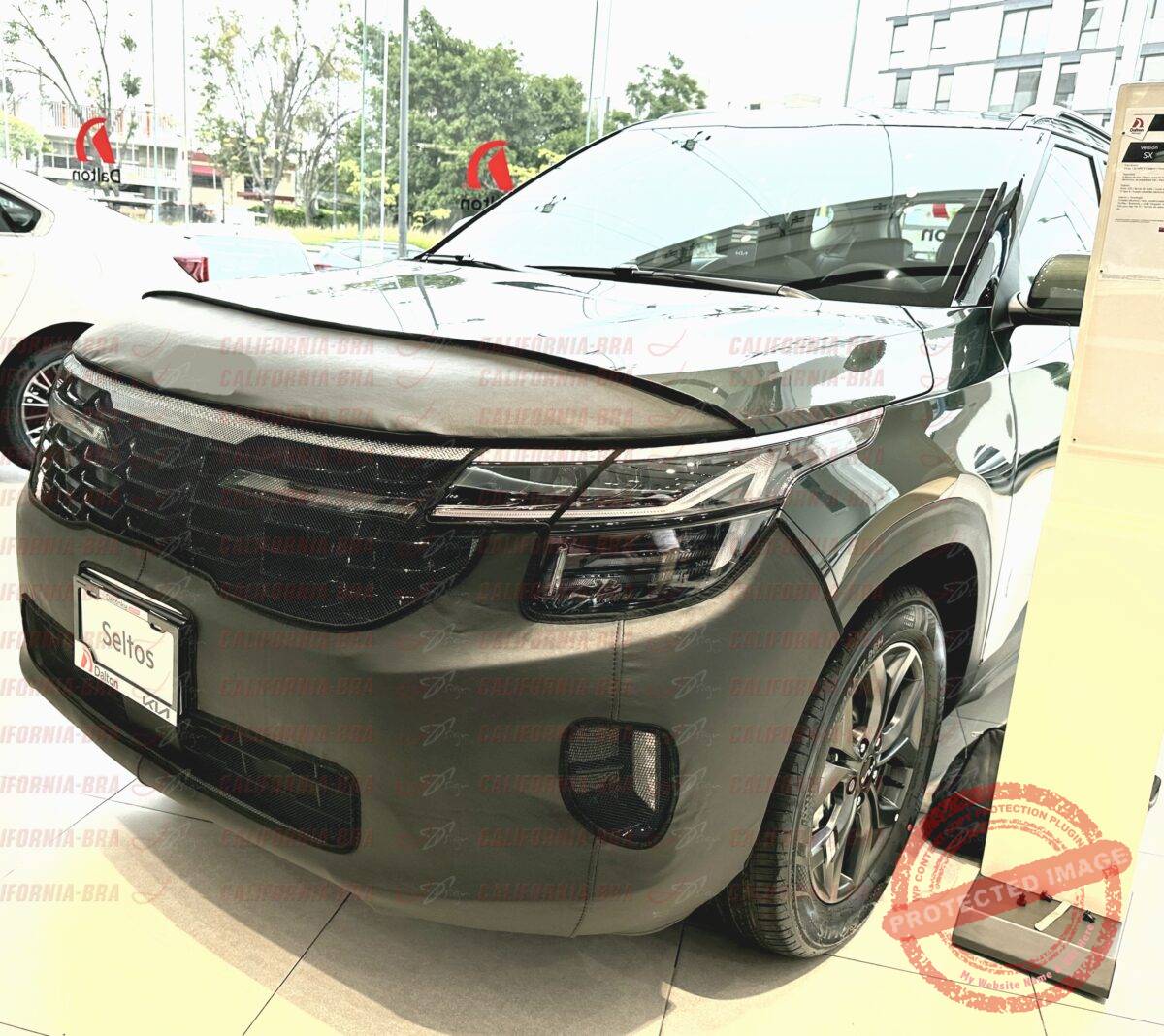 Seltos 2024-26 - Image 2