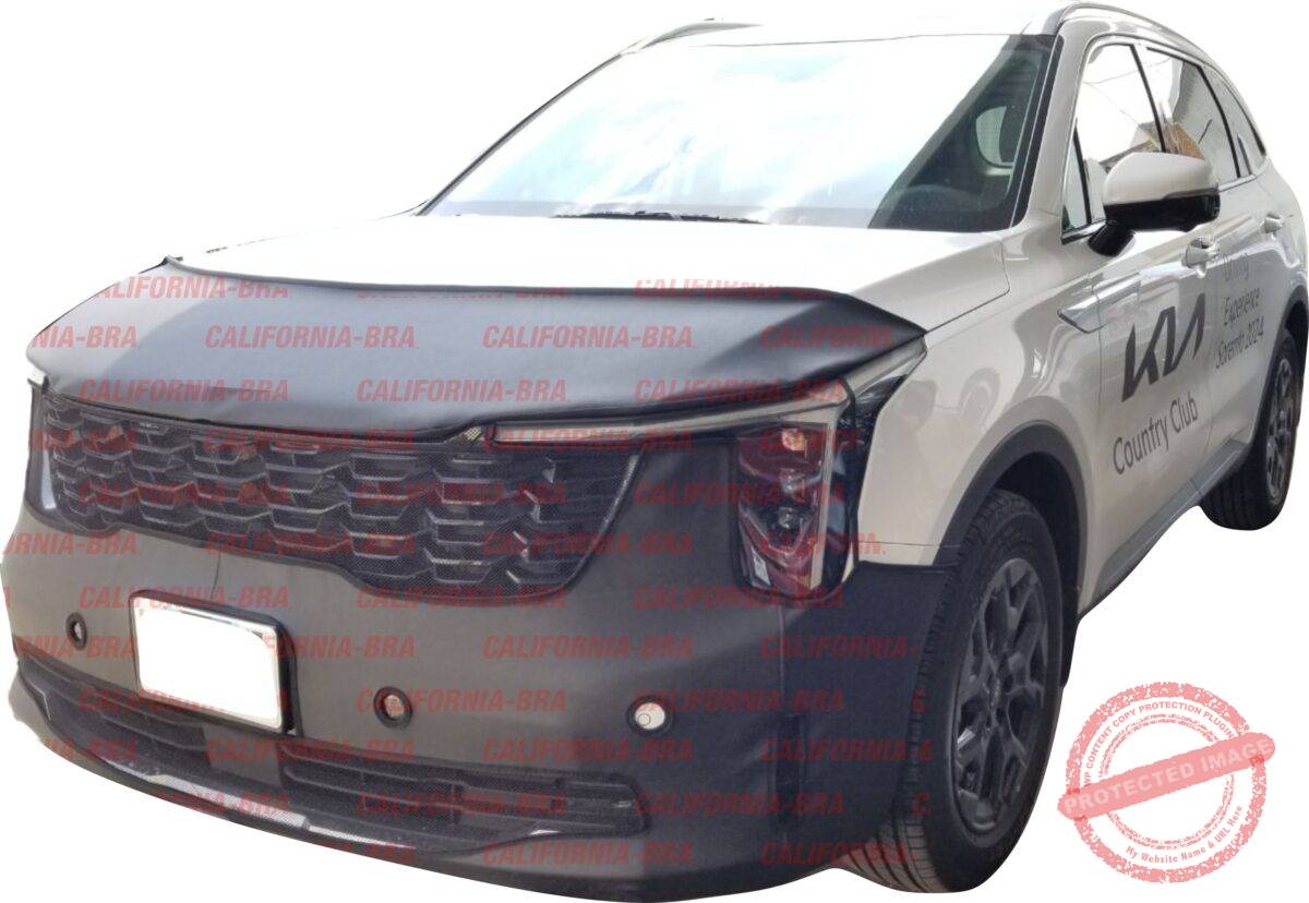 SORENTO 2024-2025 (version EX) 4 sensores - Image 1