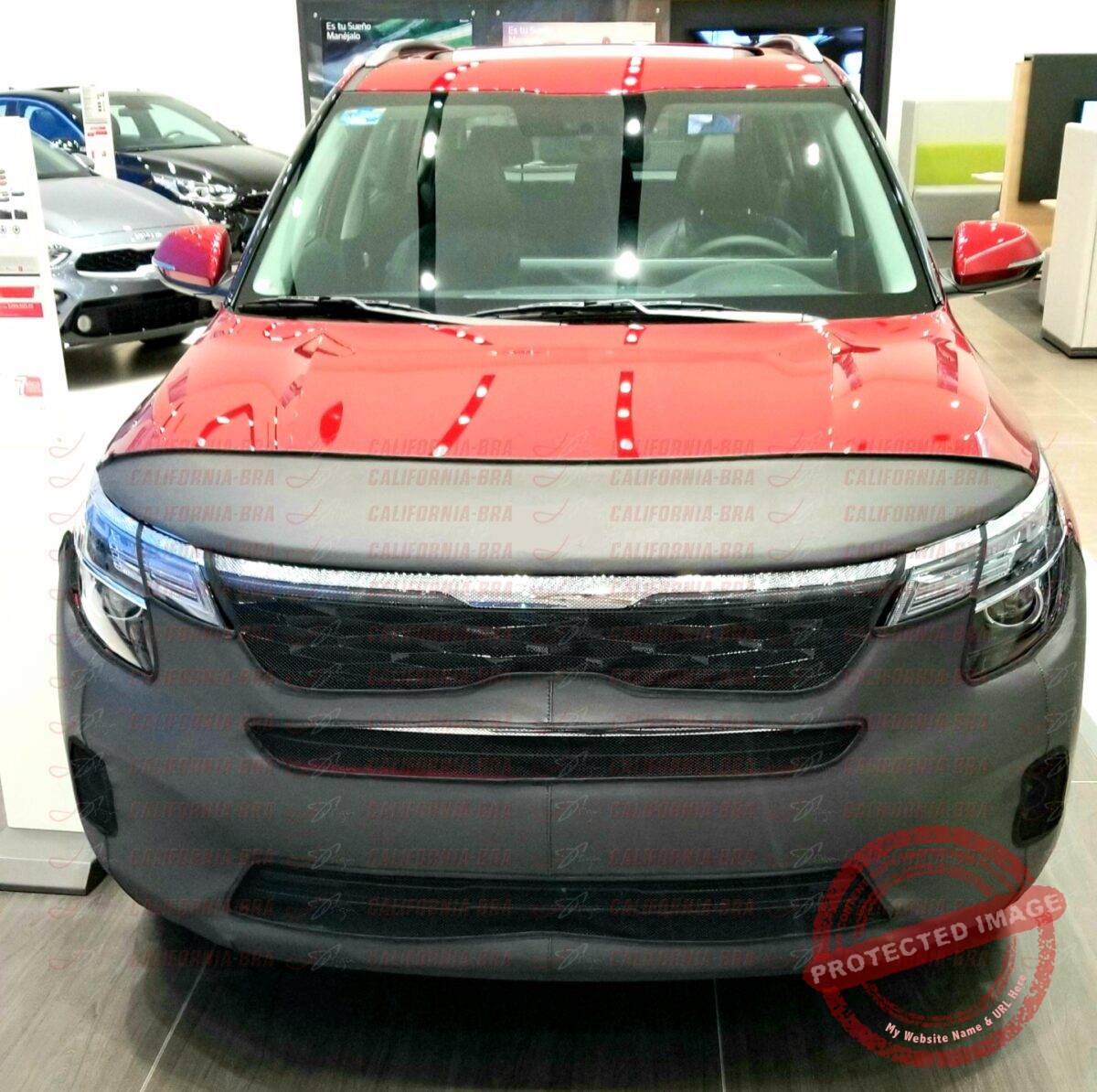 Seltos 2022-23 - Image 2