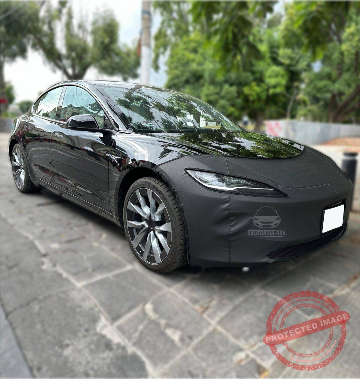 Model 3 2024-2025 - Image 2