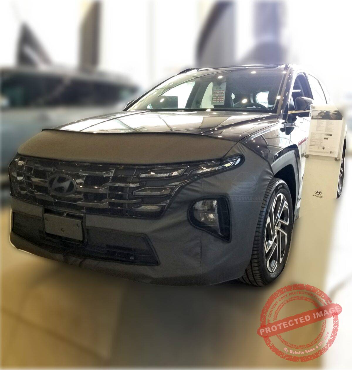 Tucson 2025 - Image 2