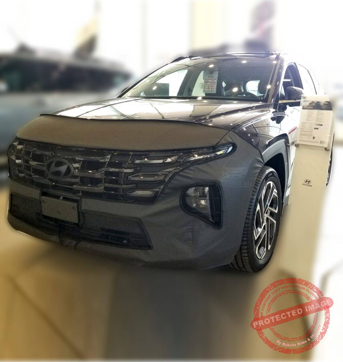 Tucson 2025 - Image 4