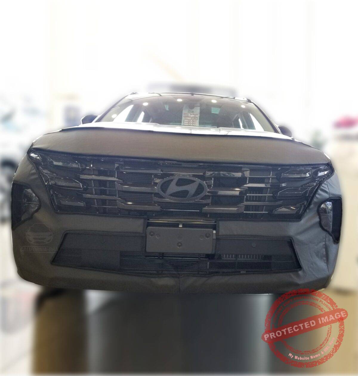 Tucson 2025 - Image 3