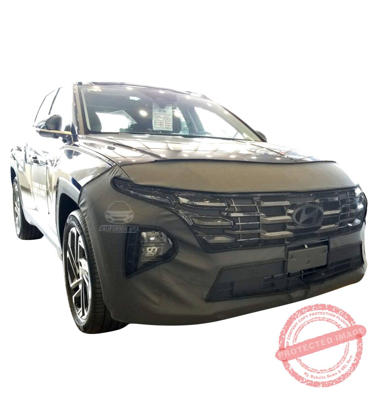 Tucson 2025 - Image 1