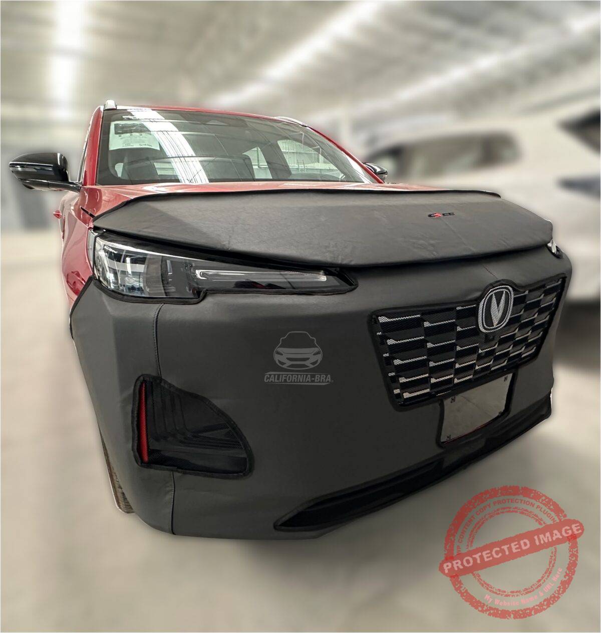 CS55 2023-25 - Image 3