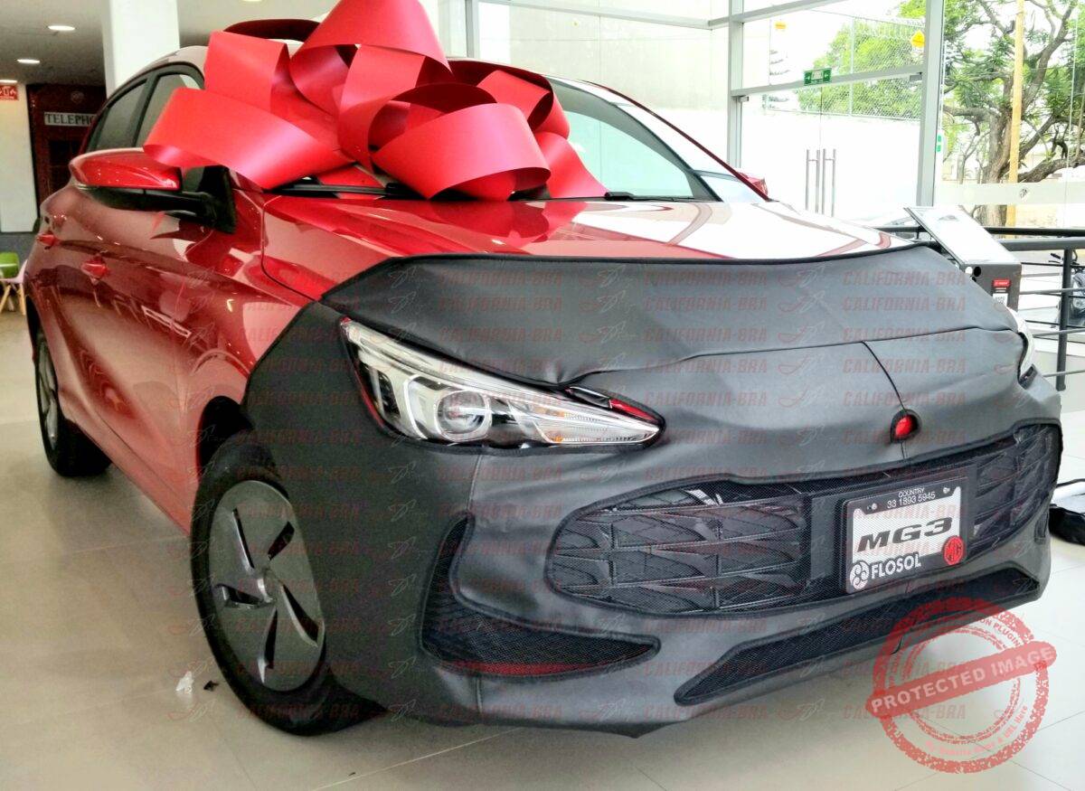 MG 3 2025 - Image 2