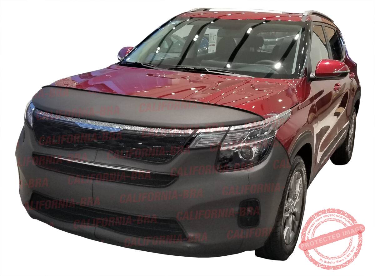 Seltos 2022-23 - Image 1