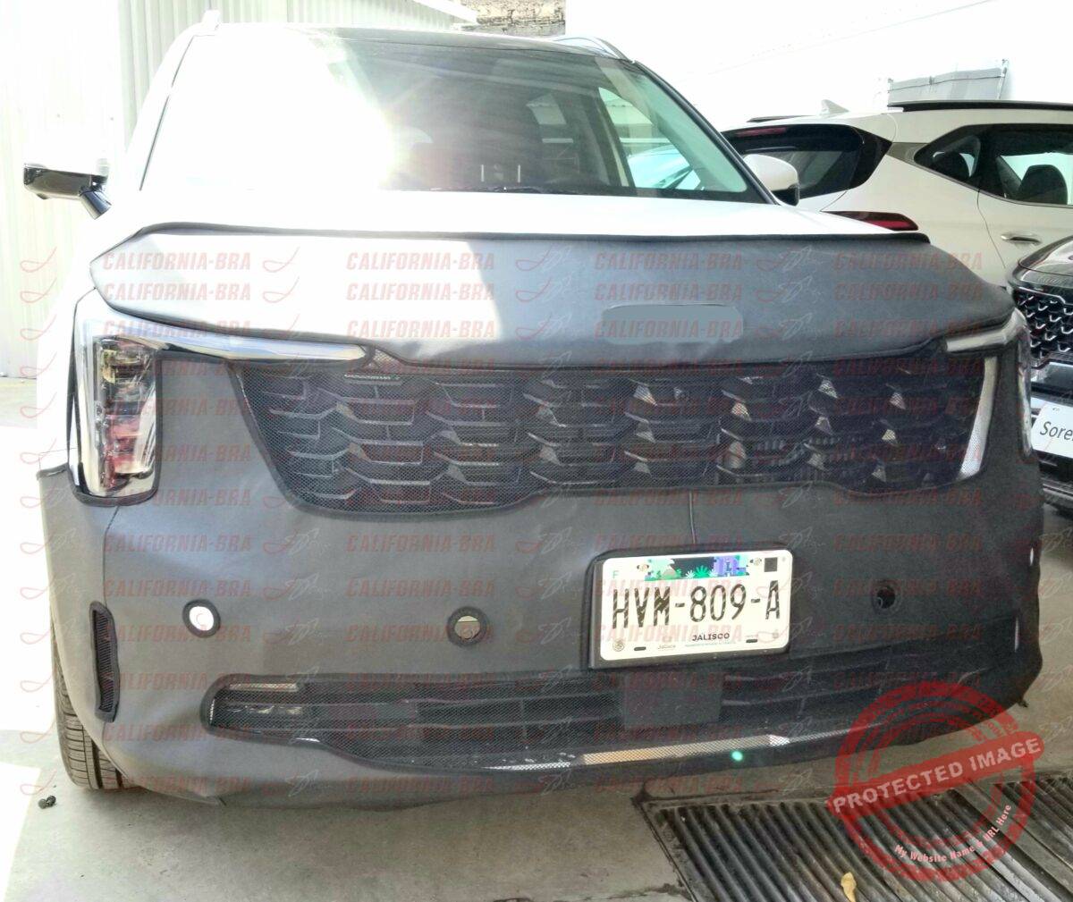 SORENTO 2024-2025 (version EX) 4 sensores - Image 3