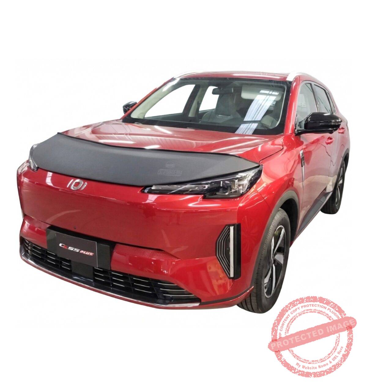 CS55 IDD 2025-2026. (solo aplica versión IDD hibrida conectable) - Image 4