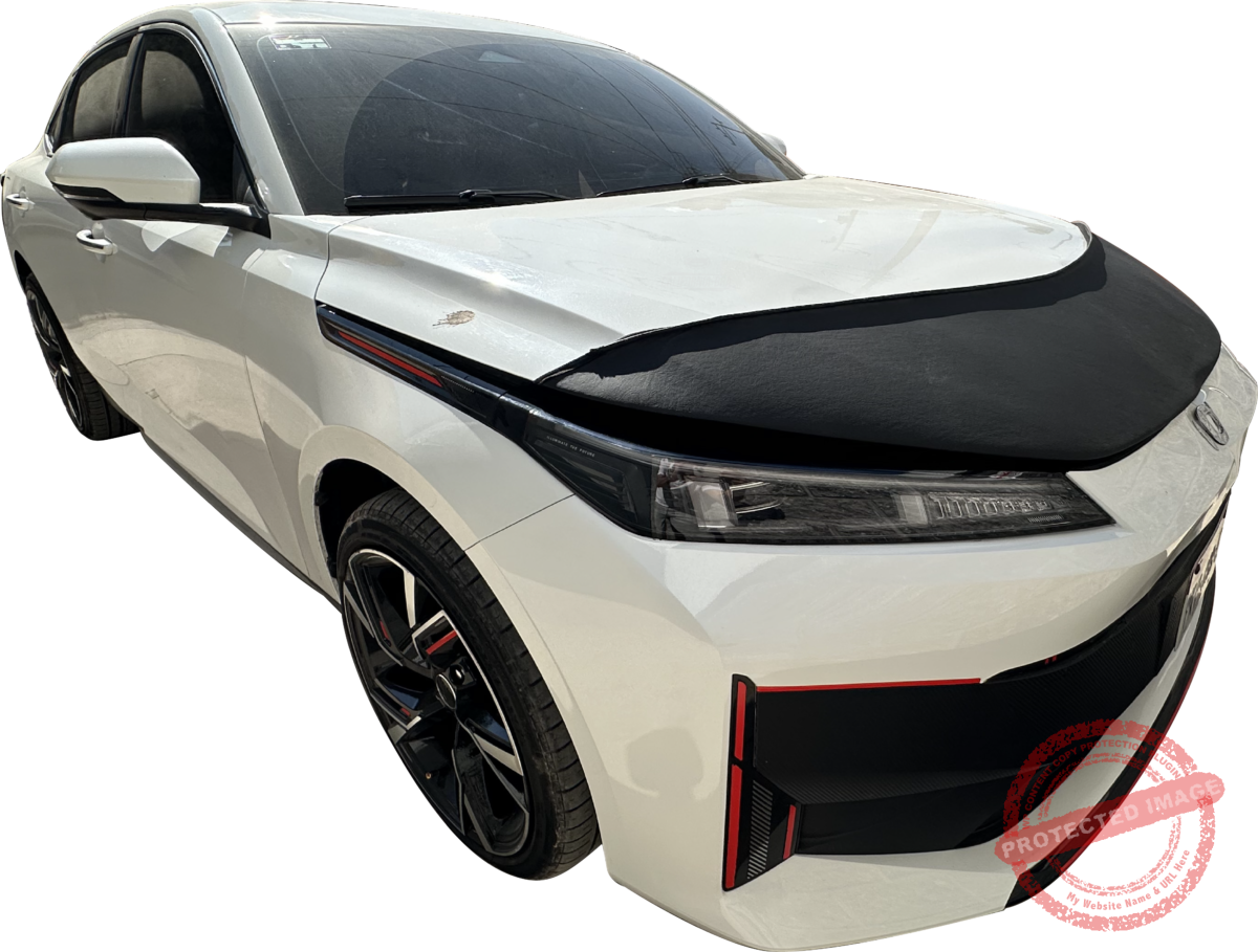 Eado IDD 2025-2026. (no aplica versión gasolina, solo hibrido conectable) - Image 6