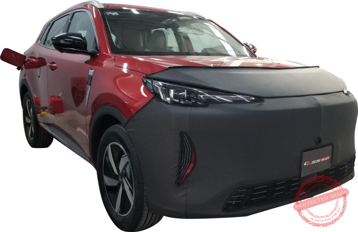 CS55 IDD 2025-2026. (solo aplica versión IDD hibrida conectable) - Image 2