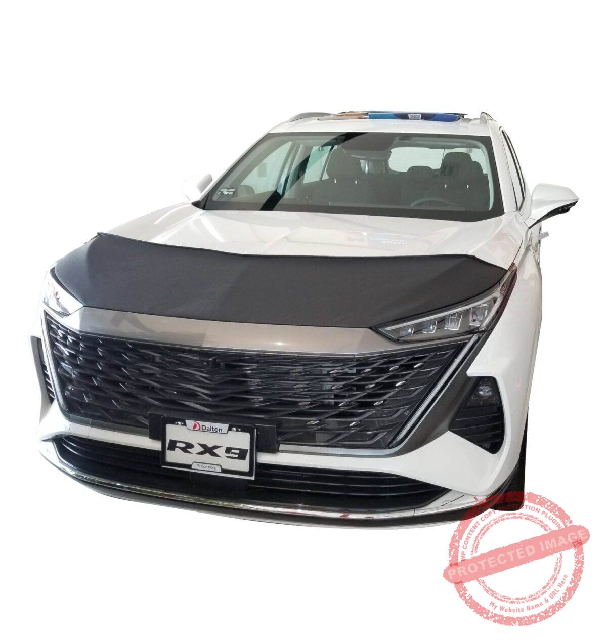 MG RX9 2026-2027 - Image 5